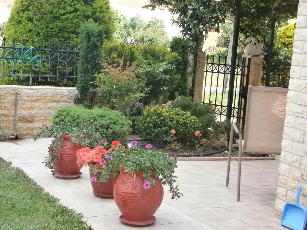 Sofia'S Villa Νικήτη Εξωτερικό φωτογραφία